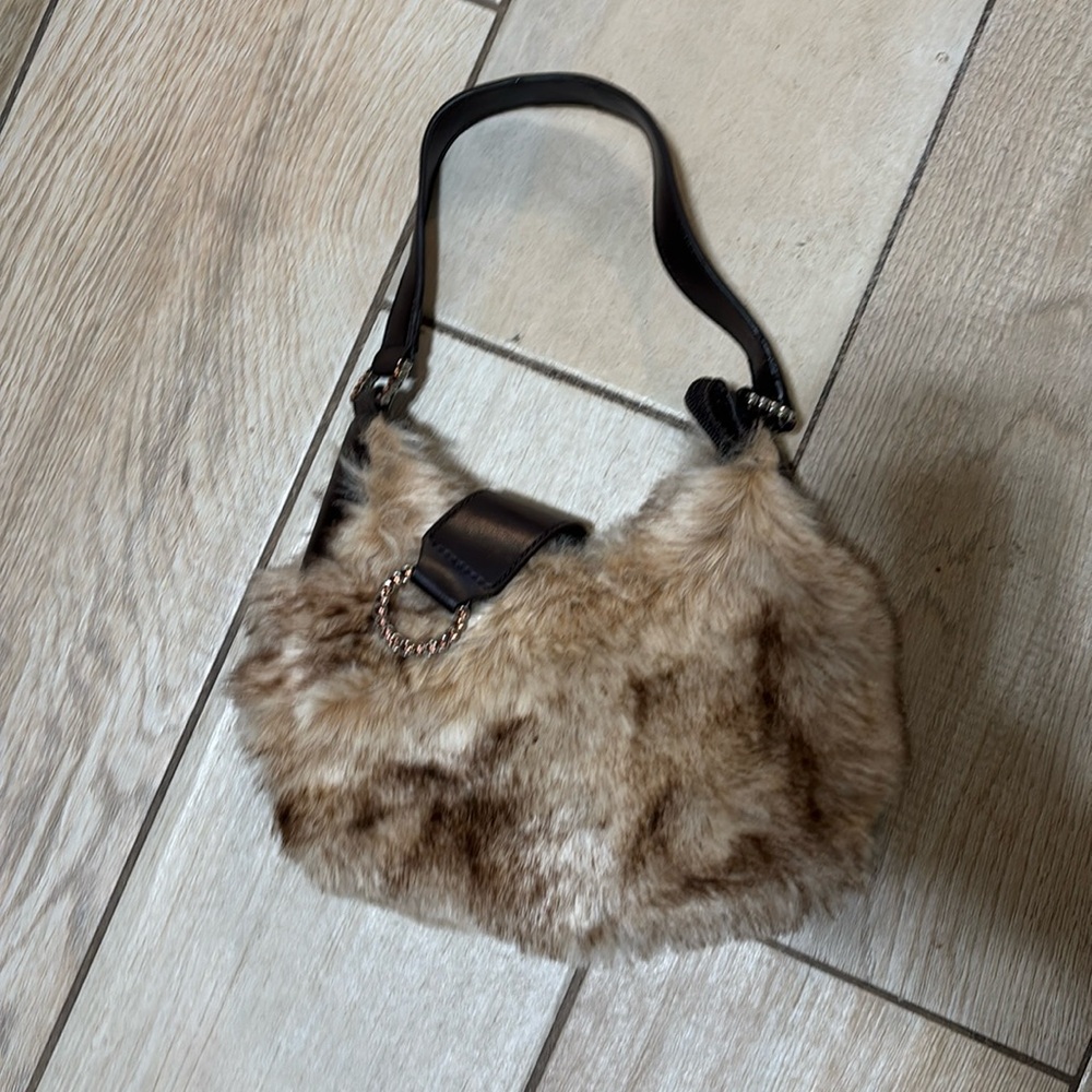 Mini purse I don't know the brand but it's cute ig.